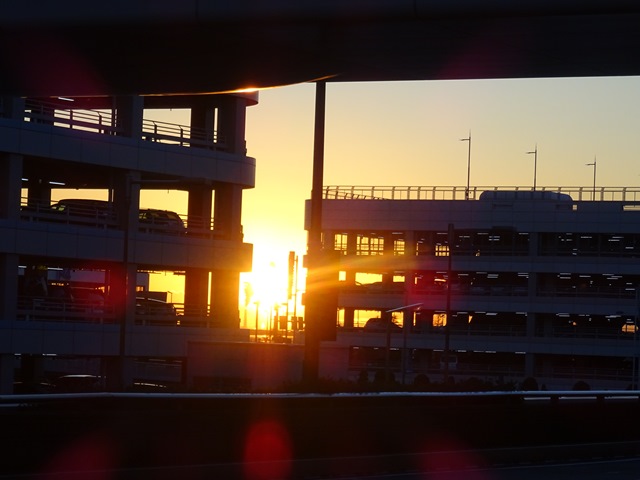 DSC09456_R.JPG