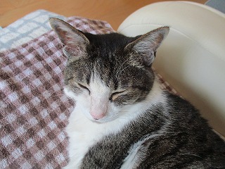 IMG_4807ss.jpg