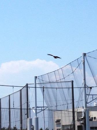 IMG_1454.JPG