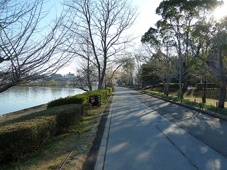 2013.3.26 021.JPG
