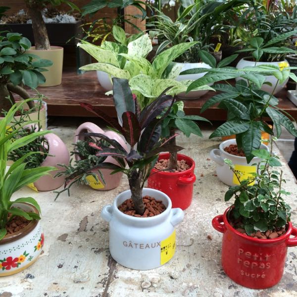 rblog-20150922152112-02.jpg