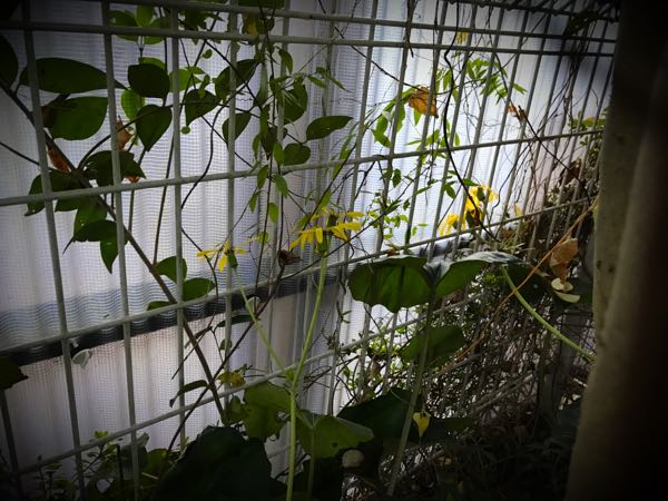rblog-20161128165148-05.jpg