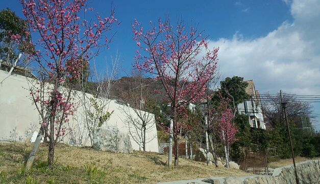 梅林公園1.jpg
