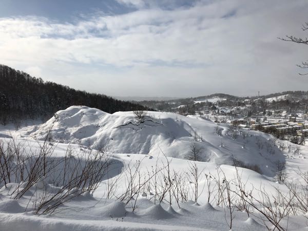 rblog-20190107205056-00.jpg