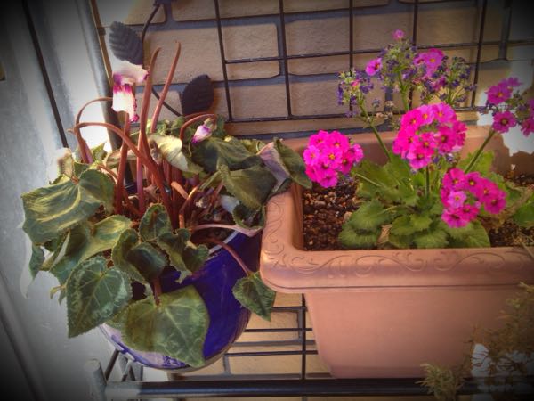 rblog-20150107165525-03.jpg