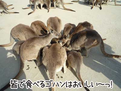 ひびき６.JPG