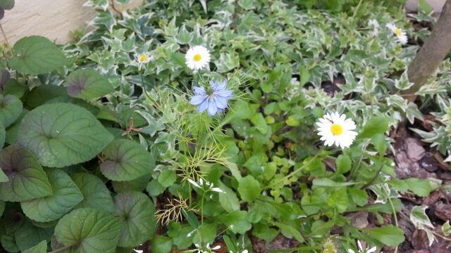 rblog-20140621160624-01.jpg