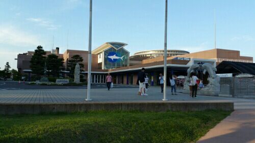 rblog-20170827185610-03.jpg