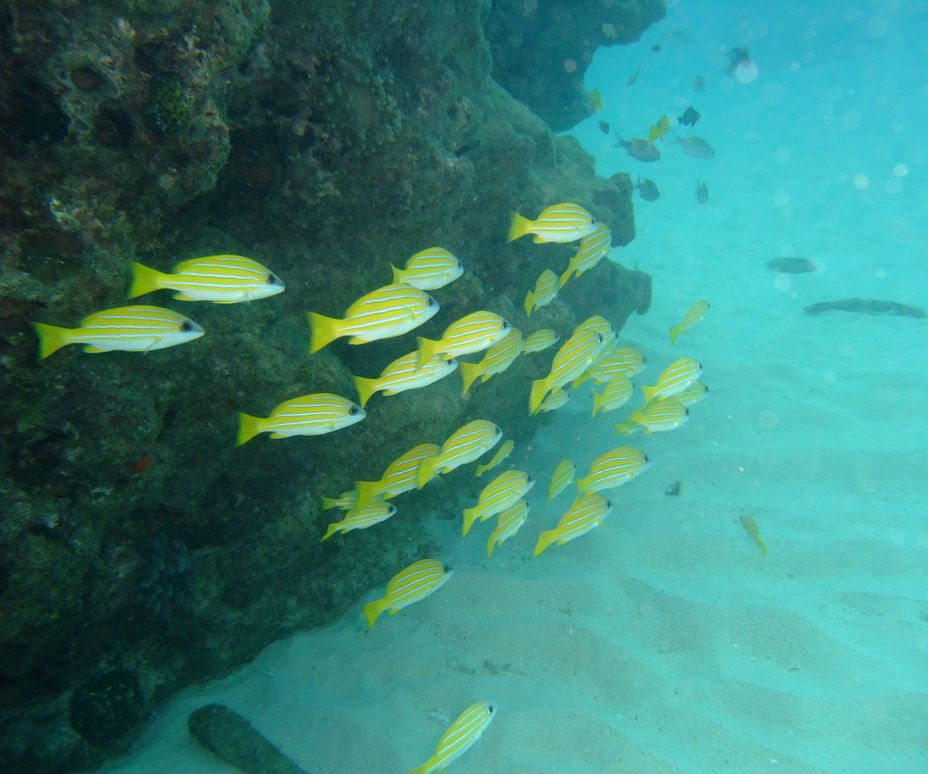 DSCF5357.JPG