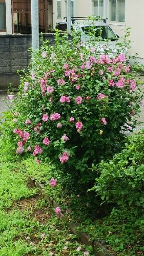 rblog-20180708204422-03.jpg