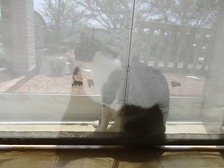 IMG_9877ss.jpg