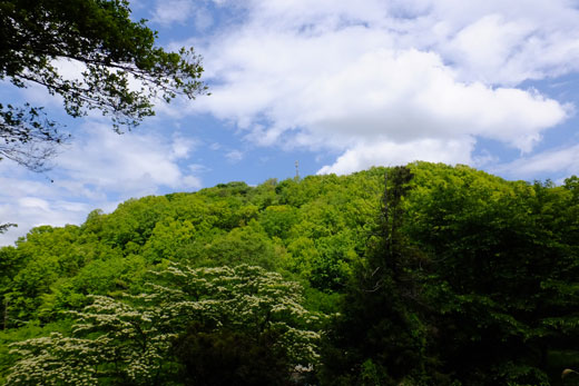 DSCF5395.jpg