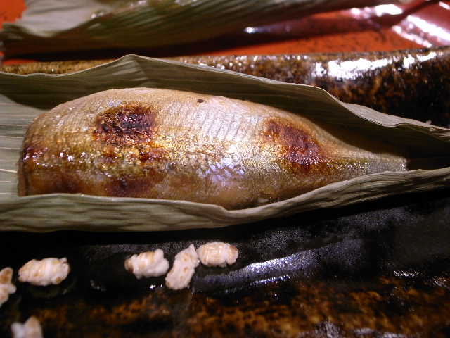RIMG16256.JPG