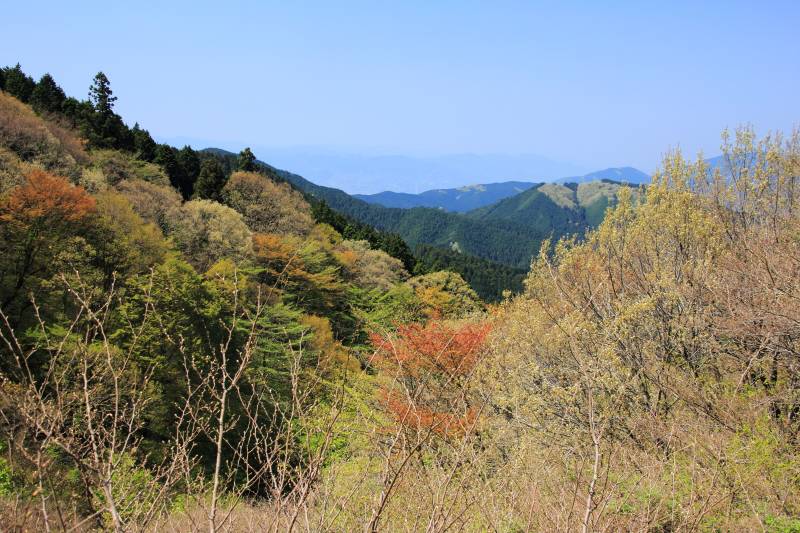 金剛山_004.jpg