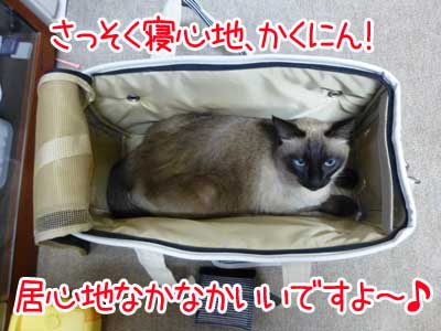 １１.JPG