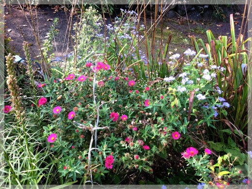 フラワーセンター大船植物園