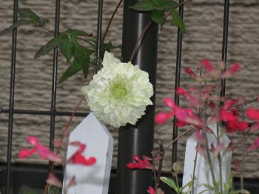 2013庭8
