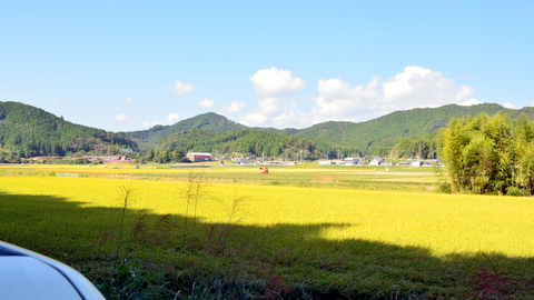 仁井田の米どころ