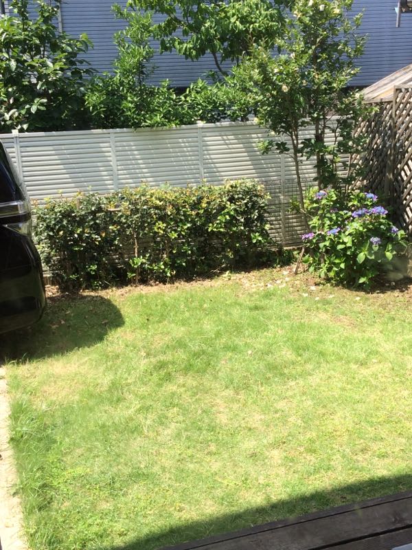 rblog-20150608234801-00.jpg