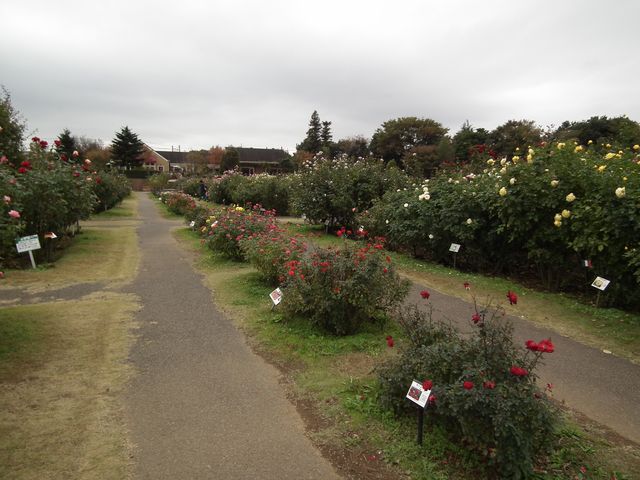 DSCF8574.JPG