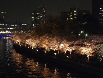 桜上２.jpg