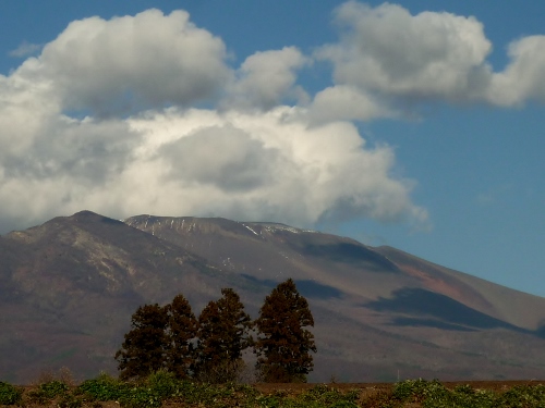 P1140506 (500x375).jpg