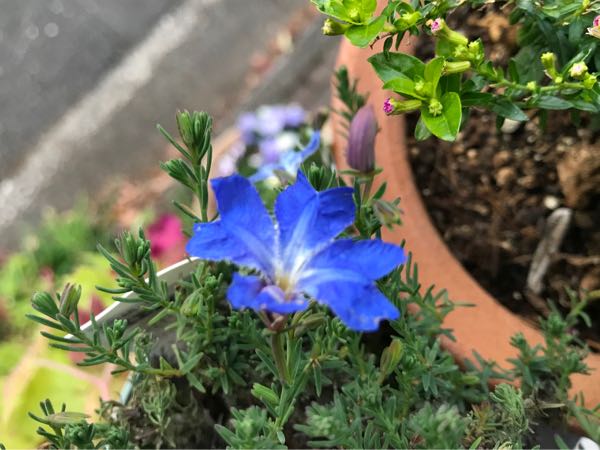 rblog-20181203160949-08.jpg
