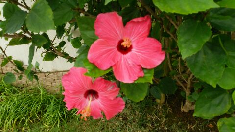 rblog-20140701205339-02.jpg