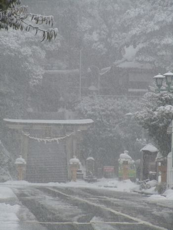 雪の県社
