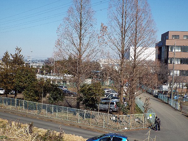 2016-02-18-kohakutyou-171-b.jpg