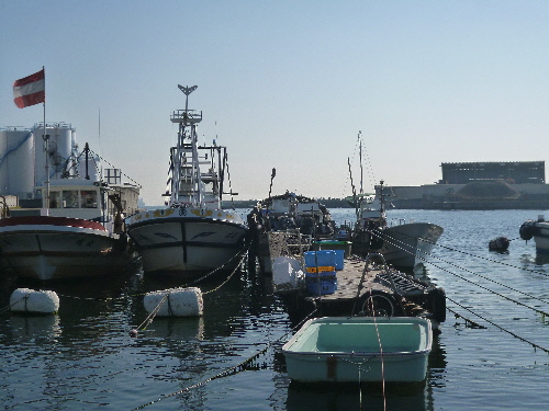 P1150081(1).JPG