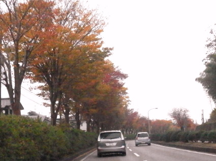 太閤山　11.2　2015　