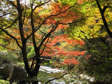 帝釈峡１