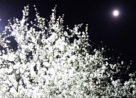 2015033110.jpg