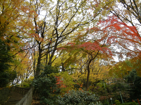 池上本門寺にて