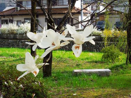 DSCN9581a.jpg