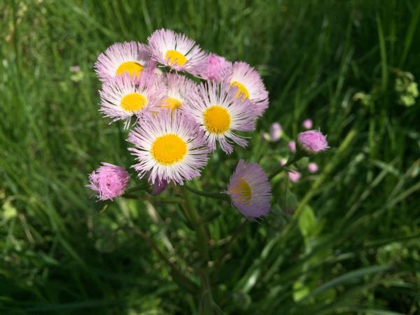 rblog-20180505160632-01.jpg