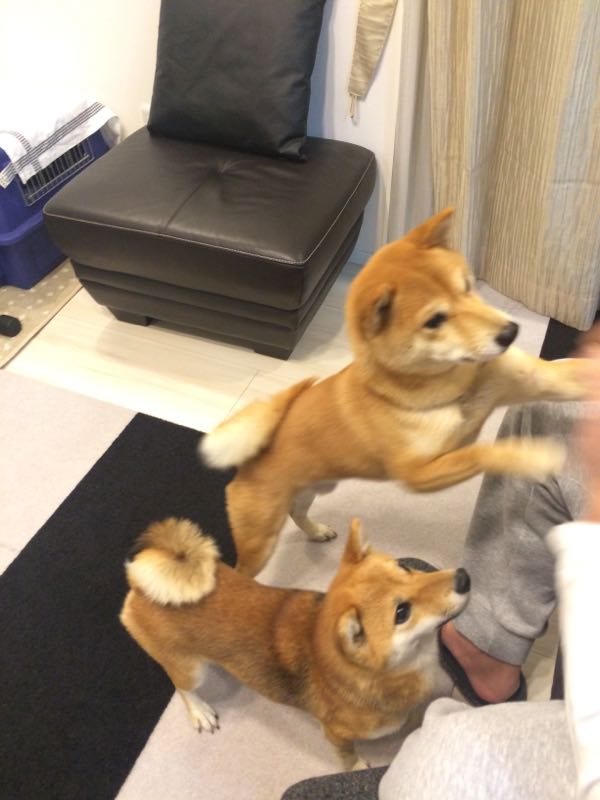 rblog-20161206120956-03.jpg