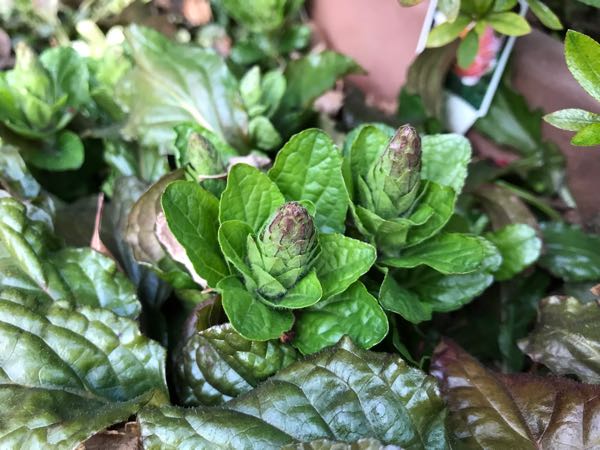 rblog-20190324174746-01.jpg