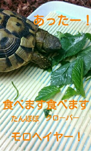 rblog-20151006090513-01.jpg