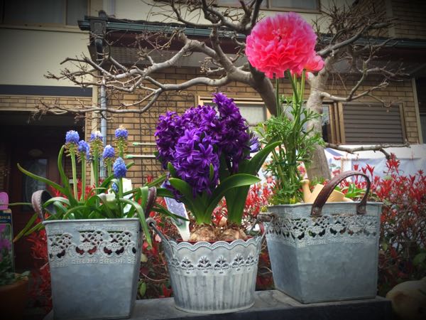 rblog-20160328170802-02.jpg