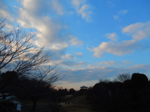 DSCN0057b20160131.jpg