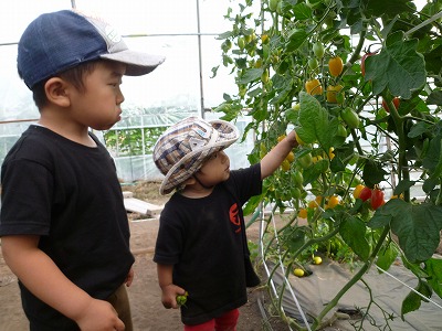 P1070413.jpg