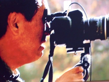 syasinntv2.jpg
