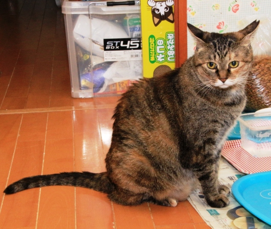 20160715サキ05.jpg