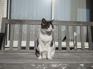 IMG_2949ss.jpg
