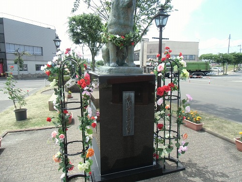 CIMG2534.jpg