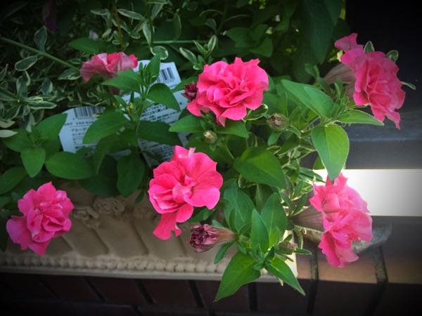 rblog-20160529204936-07.jpg