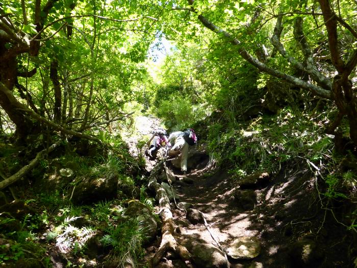 恐るべし、由布岳登山 | ベルポンのうふふ2 - 楽天ブログ