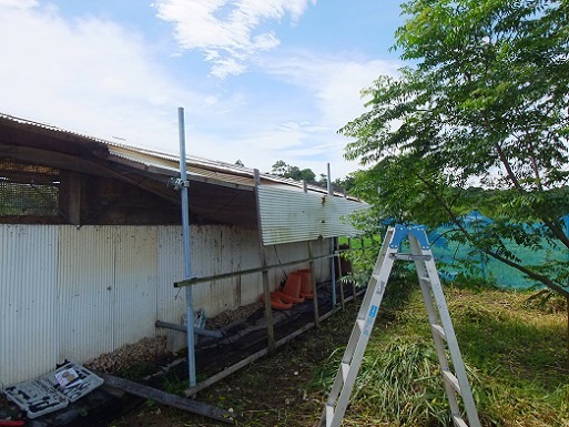 鶏舎の増築じゃーい.jpg